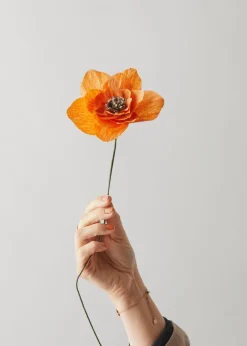 Studio About Paper Flower, Poppy Orange Hot