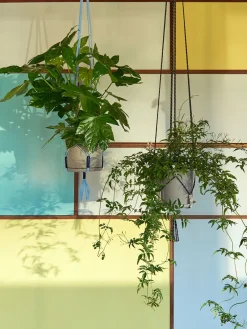 HAY Phanta Plant Hanger