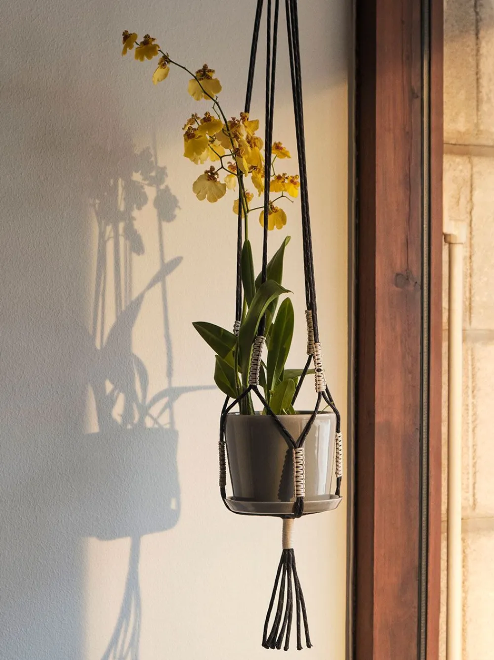 HAY Phanta Plant Hanger