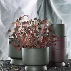 Rosendahl Flower Pot Ø24 - Dark Green Best