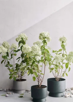 Rosendahl Flower Pot Ø24 - Dark Green Best