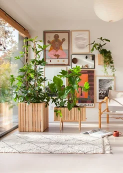 SQUARELY CPH StandWIDE