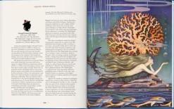 New Mags The Fairy Tales of Hans Christian Andersen