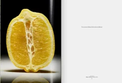 New Mags The Gourmand's Lemon. A Collection of Stories and Recipes