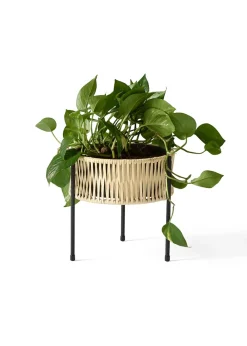 Audo Copenhagen Umanoff Planter Black Rattan - small Clearance